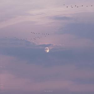 骚逼女人操屄视频
